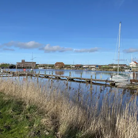 Flachland.koje *
